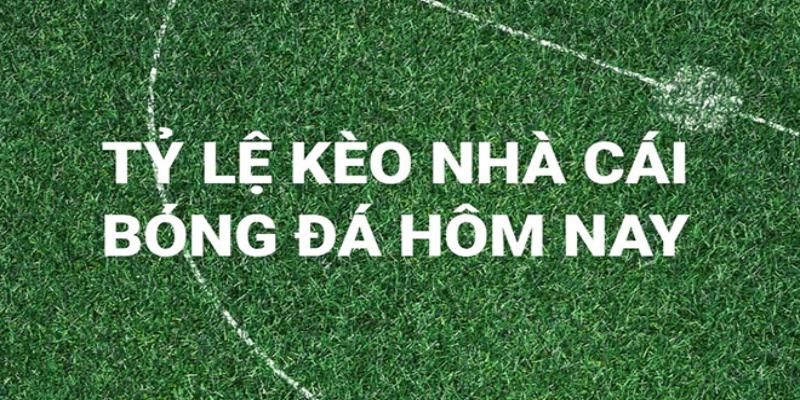 Cách tính tỷ lệ kèo nhà cái